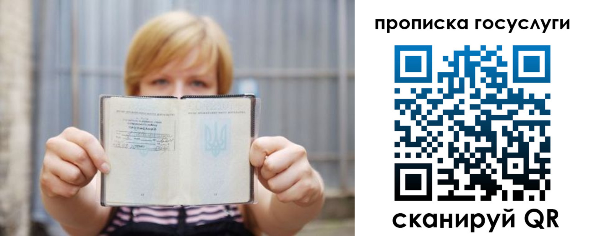 прописка гарантия в Химках